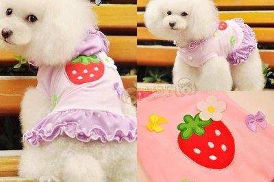 【米狗屋】春夏款＊cheer花花大草莓荷葉連帽蛋糕裙˙粉紅色／紫色