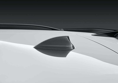 【樂駒】預購 BMW M Performance 車頂天線 飾蓋 碳纖維 原廠 點綴 改裝 套件 Carbon