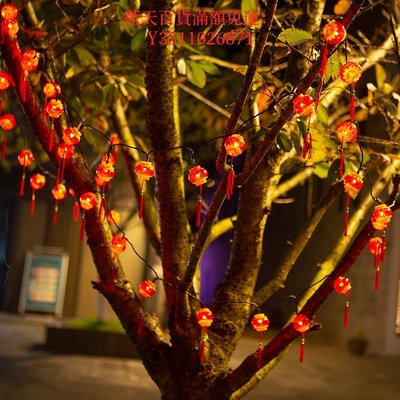 藍天百貨太陽能LED流蘇小紅燈籠彩燈串燈春節過年新年庭院裝飾燈戶外防水