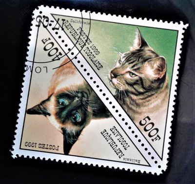 P10158 / 1999 / 喵星人-世界名貓 / 貓 / CATS-World famous cat