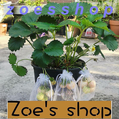 zoe-草莓果實果子套袋水果防鳥防蟲網袋紗袋紗網透氣陽臺盆栽果蔬保護