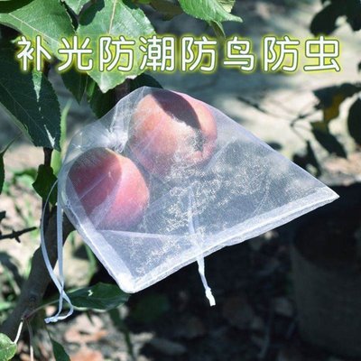 促銷打折 套果的袋子水果套袋果樹防鳥防蟲專用網袋葡萄無花果番石榴保護枇