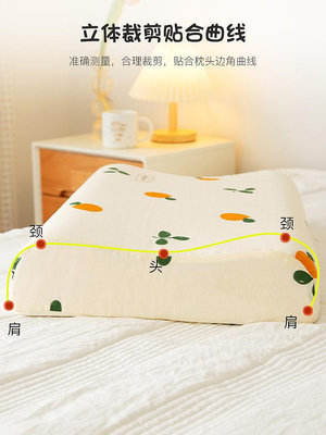全棉乳膠枕套一對裝純棉枕頭套單個30x50家用記憶枕芯內膽套2