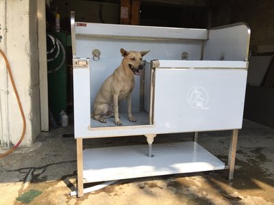 130*70左拉門雙格洗狗水槽、專利字號為M566468、洗狗槽、開門洗狗水槽、不鏽鋼洗狗槽、寵物水槽、寵物美容槽