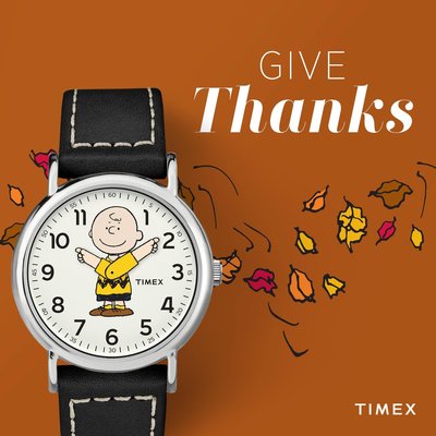 TIMEX x PEANUTS SNOOPY 史努比 70週年限定聯名錶 查理布朗 TW2T60900 現貨