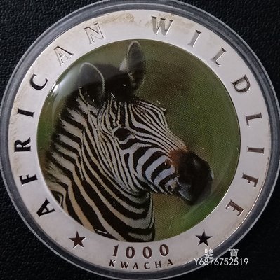 【鑒 寶】（各國錢幣） 尚比亞2000年1000克瓦查彩色精製銀幣 非洲野生動物紀念-斑馬 SYY639