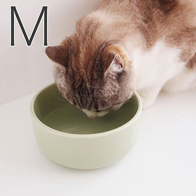 【臣喵小舖】日本製瀨戶燒 Aukatz Health Water Series 貓咪多喝水碗 綠原色 M 貓碗 飲水碗