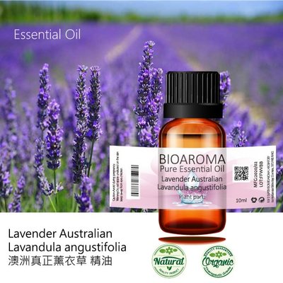 【純露工坊】澳洲真正薰衣草精油Lavender Australian   100ml
