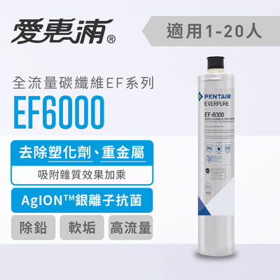 愛惠浦 EVERPURE 有雷標 公司貨 EF6000 6000加侖 大流量 除塑化劑重金屬 抑垢 濾心 北台灣淨水