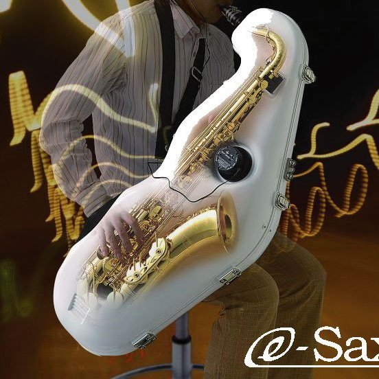 熱い販売 BEST BRASS e-sax 管楽器 - www.stevenstrucking.com