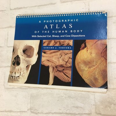 [二手書籍] 人類解剖學 教科書 人體解剖學 Altas of the human body *舊愛二手*