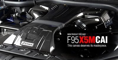 【樂駒】DINAN F95 F96 X5M X6M 進氣系統 高流量 空濾 碳纖維 Carbon 進氣 強化 空氣流量