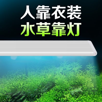現貨 七彩神仙魚專用魚缸LED照明燈管變色防水水草燈架小型裝飾藍白光