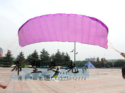 特技風箏4線軟體動力風箏 軟體特技 四線特技