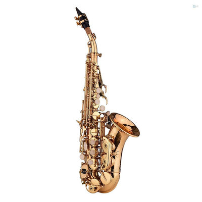 迷你 Bb Soprano Saxophone Sax 黃銅材質金層奎表面木管樂器, 帶手提箱手套清潔布刷蘆葦-淘米家居配件