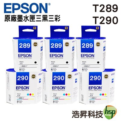 EPSON T289150 T290050 原廠墨水匣 三黑三彩 適用於WF-100
