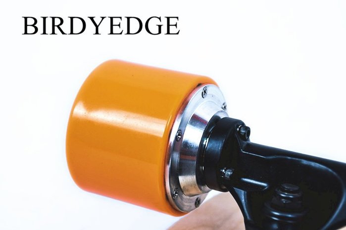 BIRDYEDGE 設計 美國電動滑板 電動車 滑板 四輪車 木製 滑板 滑板車 代步車 車　台灣品牌