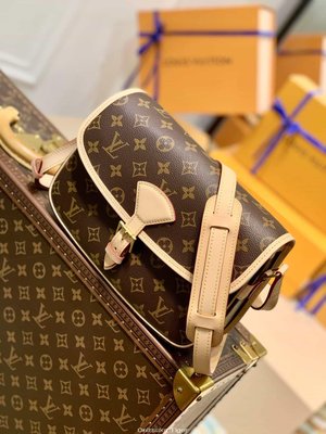 二手Louis Vuitton LV Sologne shoulder bag M42250 單肩斜挎包