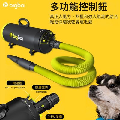 【最新版】bigboi寵物乾燥吹風機 MINI PLUS+  吹水機 寵物美容 寵物用品 寵物吹水機