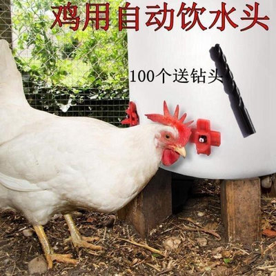 雞用小雞飲水器散養雞用飲水乳頭養雞設備養殖用小雞喝水喂水器熱銷