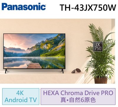 Panasonic國際牌43吋4KUHD 聯網液晶電視TH-43JX750W(含標準安裝)