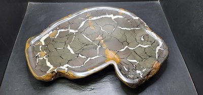 石在有趣~新石器時代/不小件的美龜甲茶盤