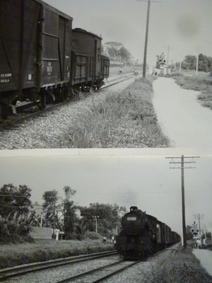 190430~疑似是DT588阿里山小火車頭~相關特殊(一律免運費---只有各一張)老照片~04