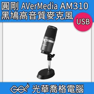 喬格電腦 (現貨) 圓剛 AVerMedia AM310 黑鳩 高音質 麥克風 | USB介面 專業麥克風