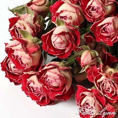 熱賣中 玫瑰干花花束天然真花北歐風家居客廳擺設擺件多頭玫瑰diy插花