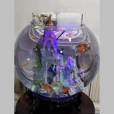 現貨熱銷-50CM超大加厚透明圓球形玻璃金魚缸圓形特大型玻璃缸透明玻璃容器滿仟免運