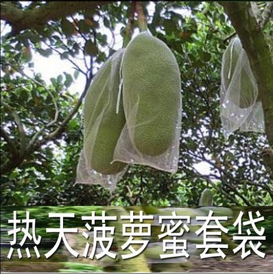 【熱賣精選】熱帶水果菠蘿蜜袋木菠蘿防蟲防寒專用一次性兩頭通套袋香蕉套袋水果套袋