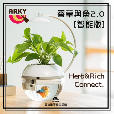 【愛拉風】現貨 ARKY 香草與魚 2.0 智能版 Herb&Fish Connect. 開運魚缸 開運風水 魚草共生