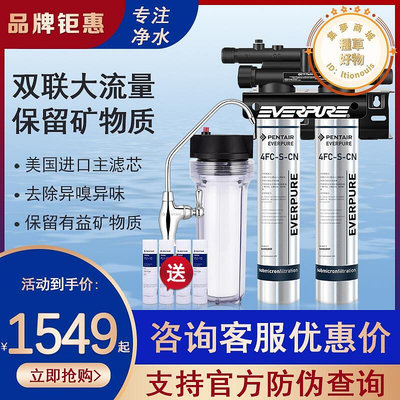 愛惠浦雙聯4FC-S4FC-LS雙聯淨水器商用辦公奶茶店咖啡機用淨水器