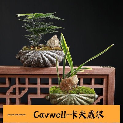 Cavwell-花器 種植盆 創意客廳墻上壁掛花盆綠蘿半壁免打孔掛式掛墻陽臺懸掛式擺件-可開統編