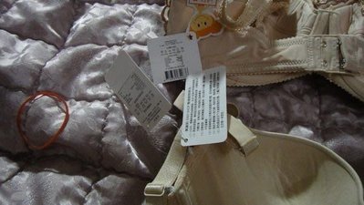 品牌Audrey米色有蕾絲80C素色的80D下標告知那件送內褲其他廠牌資（粉紅布袋）每件550含運