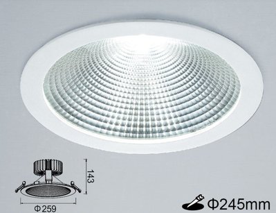 舞光商業照明  30W LED 挑高黑鑽石崁燈/投射燈-24DOD30 崁孔245MM 三種色溫可選擇 全電壓