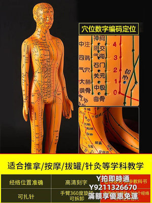 人體模型針灸穴位人形人體經絡模型人中十二銅人全身可扎針模特小皮人