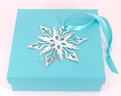 Tiffany & Co. 全新925純銀 聖誕之星吊飾