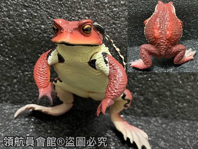 【領航員會館】單售IKIMON日本正版NTC圖鑑-巨型蟾蜍 紅色 扭蛋 公仔 癩蛤蟆 青蛙 牛蛙 動物模型 玩具 標本