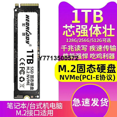 宏想m.2固態硬碟NVME 256G 1T 512G 128G PCIE M2筆電桌機SSD