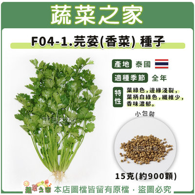 【蔬菜之家滿額免運】F04-1.芫荽(香菜)種子15克(約900顆)//葉綠色，邊緣淺裂，葉柄白綠色，纖維少