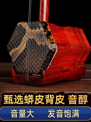 紅木二胡樂器初學者演奏考級兒童通用廠家直銷成人龍頭蘇州二胡