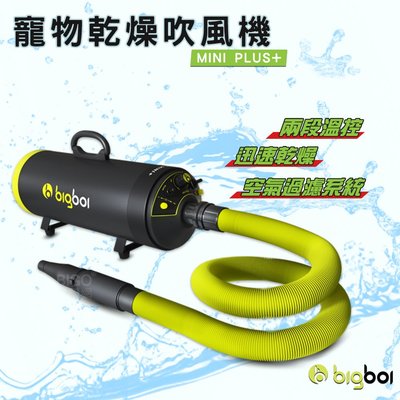 【bigboi】寵物乾燥吹風機 MINI PLUS+ 吹水機 乾燥吹風機 寵物美容 寵物吹毛 寵物吹水機 雙馬達吹風機