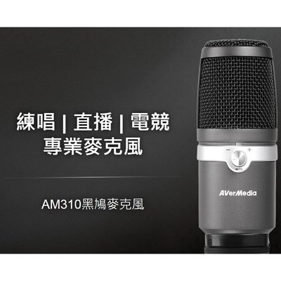 🎀台灣公司貨 AVerMedia 圓剛 AM310 黑鳩麥克風 高音質USB麥克風 線上教學 遠距教學