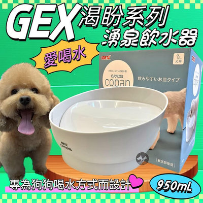 💥CHOCO寵物💥日本GEX狗用 渴盼犬用飲水器 白色 950ml/組 寵物飲水器 陶瓷 循環 飲水器 愛喝水 狗 喝水