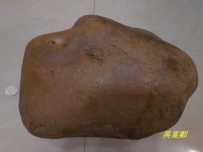 {興嵩郵}頂級天然黃碧玉原礦海石19.6公斤.硬度7以上
