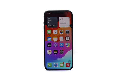 【台中青蘋果競標】Apple iPhone 12 Pro Max 太平洋藍 256G  料件機出售 #87870