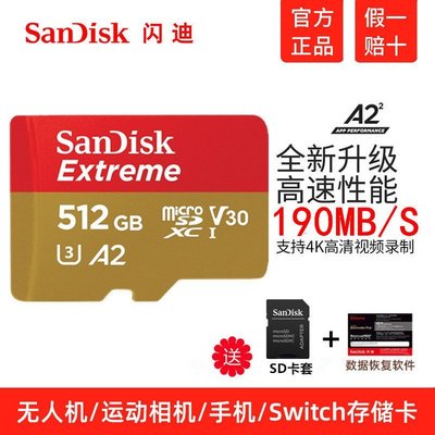 【現貨】SanDisk閃迪512G內存卡micro sd卡 相機卡通用TF卡A2高速讀取160M