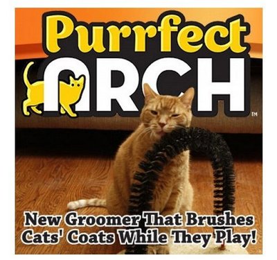 Purrfect arch 蹭毛器 寵物玩具 抓癢刷 拱形貓抓板