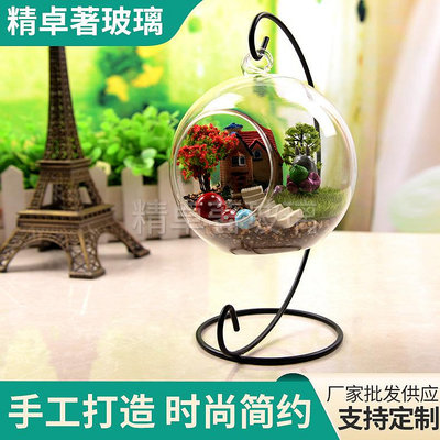 微景觀吊球掛件多肉植物水培花瓶透明玻璃圓球花瓶